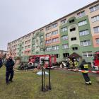 Fotka nr 3 z 15