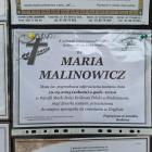 Fotka nr 3 z 6