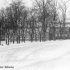 zdjęcie nr 32