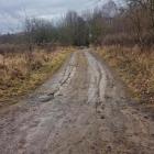 Fotka nr 2 z 8