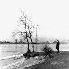 zdjęcie nr 34