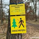Fotka nr 0 z 6
