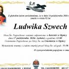zdjęcie nr 11