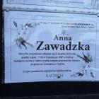 zdjęcie nr 10