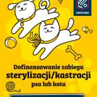 Fotka nr 0 z 1