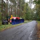 Fotka nr 3 z 11