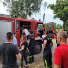 Fotka nr 5 z 7