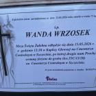 Fotka nr 5 z 6