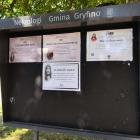 zdjęcie nr 9