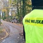 Fotka nr 1 z 3