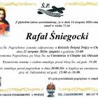 zdjęcie nr 11