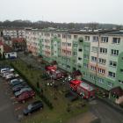 Fotka nr 2 z 15