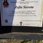 Fotka nr 0 z 6