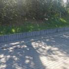 Fotka nr 2 z 7