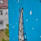 Fotka nr 4 z 6