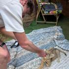 Fotka nr 1 z 4