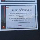 Fotka nr 4 z 6