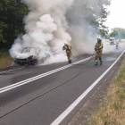 Fotka nr 1 z 2
