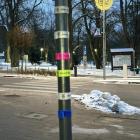 Fotka nr 2 z 4