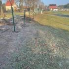 zdjęcie nr 8