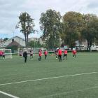 Fotka nr 2 z 11