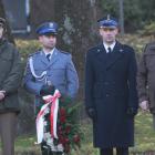 zdjęcie nr 18