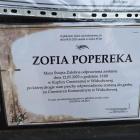 Fotka nr 5 z 6