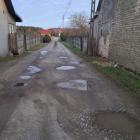 zdjęcie nr 14