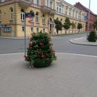 zdjęcie nr 14