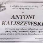 Fotka nr 4 z 6