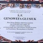 zdjęcie nr 8