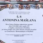 Fotka nr 5 z 10