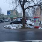 zdjęcie nr 8