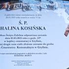 Fotka nr 1 z 4