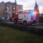 zdjęcie nr 8