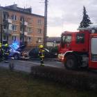 Fotka nr 5 z 8
