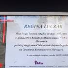 Fotka nr 1 z 8