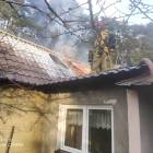 Fotka nr 1 z 8