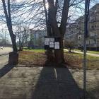 zdjęcie nr 8