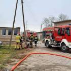 zdjęcie nr 13