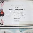 zdjęcie nr 8