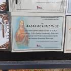 Fotka nr 4 z 8