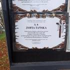 Fotka nr 5 z 8