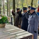 zdjęcie nr 9
