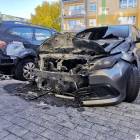 Fotka nr 3 z 7
