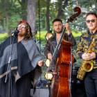 zdjęcie nr 7