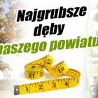 Fotka nr 3 z 4