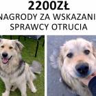 Fotka nr 0 z 2