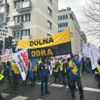 zdjęcie nr 13