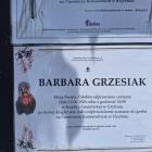 Fotka nr 5 z 9